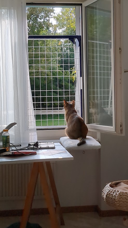 Cini mit Altersheim-Parkblick