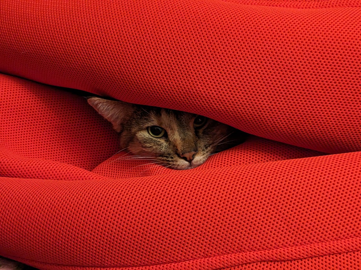 Cini weich eigepackt