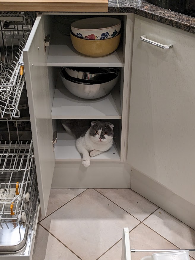 Robert sucht eine Schüssel